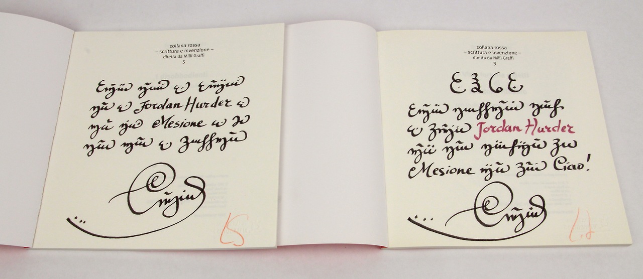Photo: full-page inscriptions rendered in Luigi Serafini’s made-up language from the Codex Seraphinianus