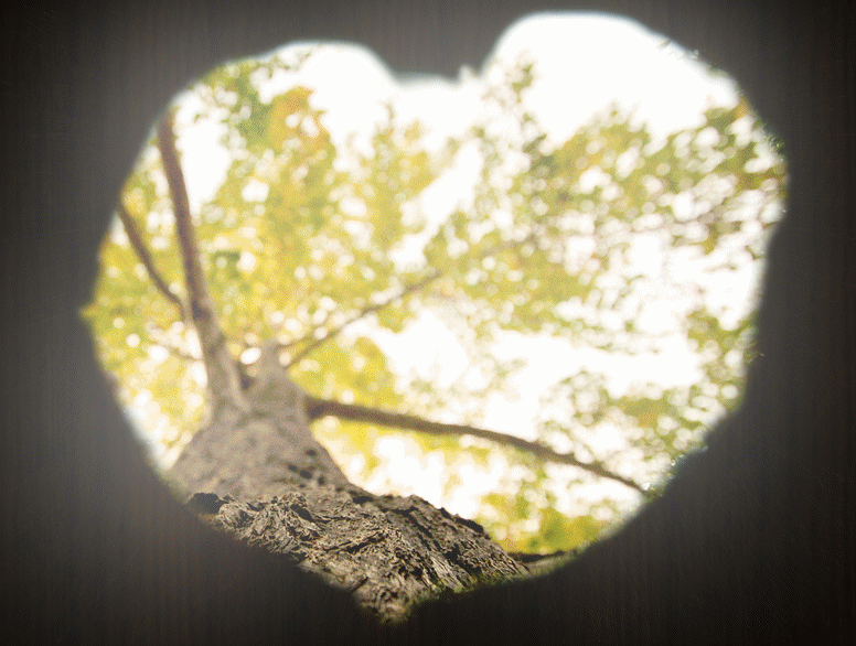 Photo: based on 'Knot' by Daniel Miller (CC License)