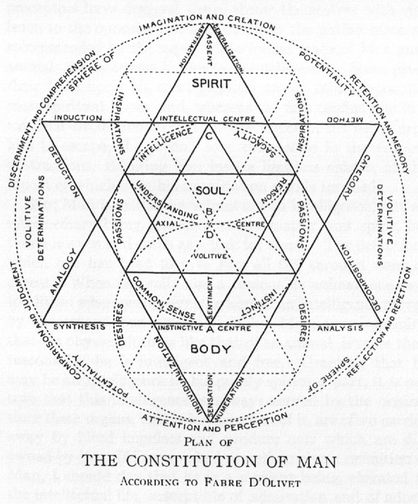Constitution of Man according to d'Olivet