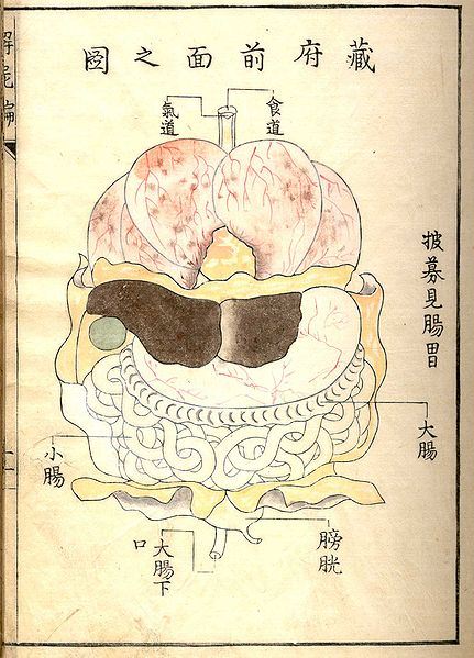 Drawing from Kaishi Hen (Analysis of Cadavers), 1772
