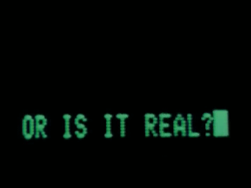 Old computer terminal: 'OR IS IT REAL?'